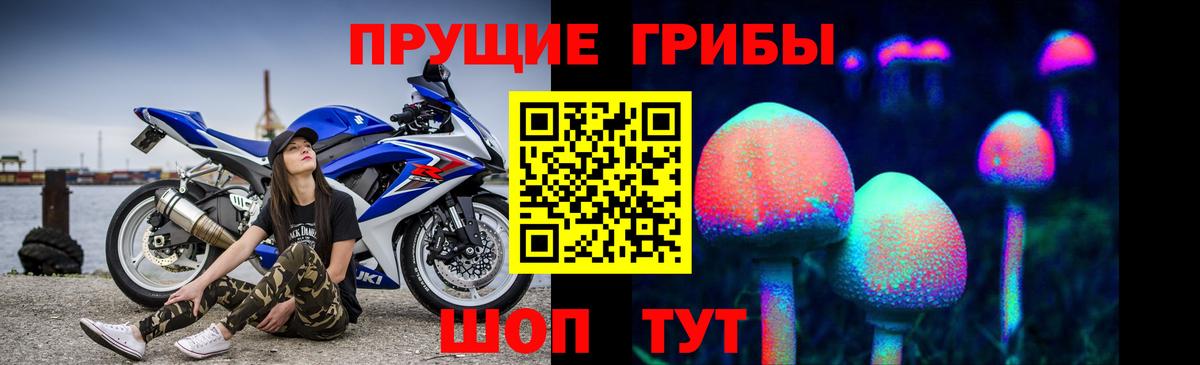 Псилоцибиновые грибы GOLDEN TEACHER  Вход с VPN  Киреевск 